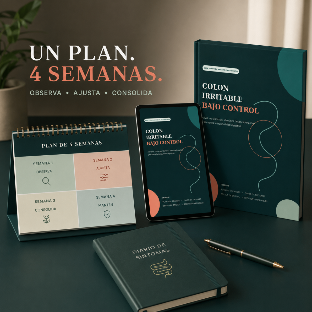 Plan de 4 semanas con diario y recursos